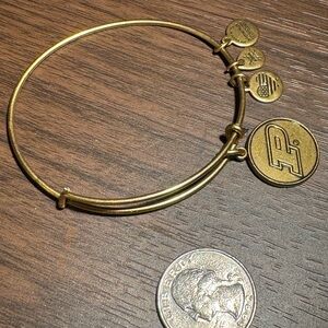 Alex and Ani Charm Bangle Bracelet